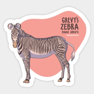 The Grevy's Zebra Sticker